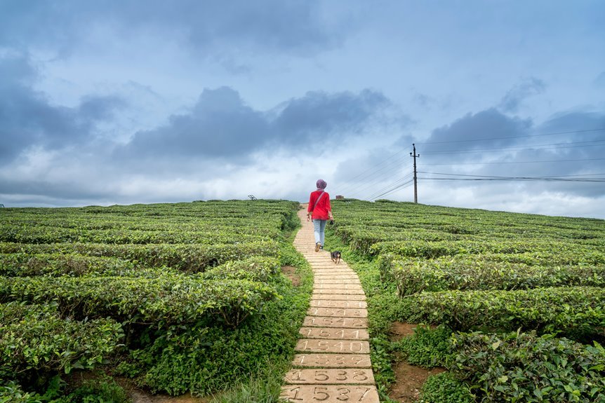 contact numbers for publication