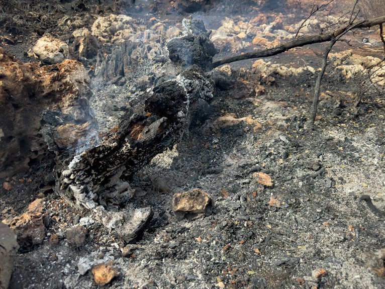 silverfall ember stone identification