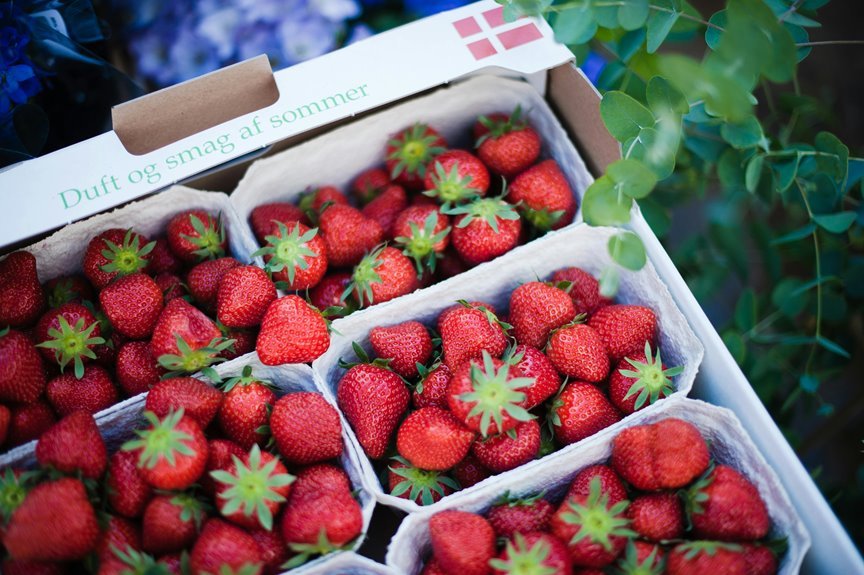 cheese danish nutritional information