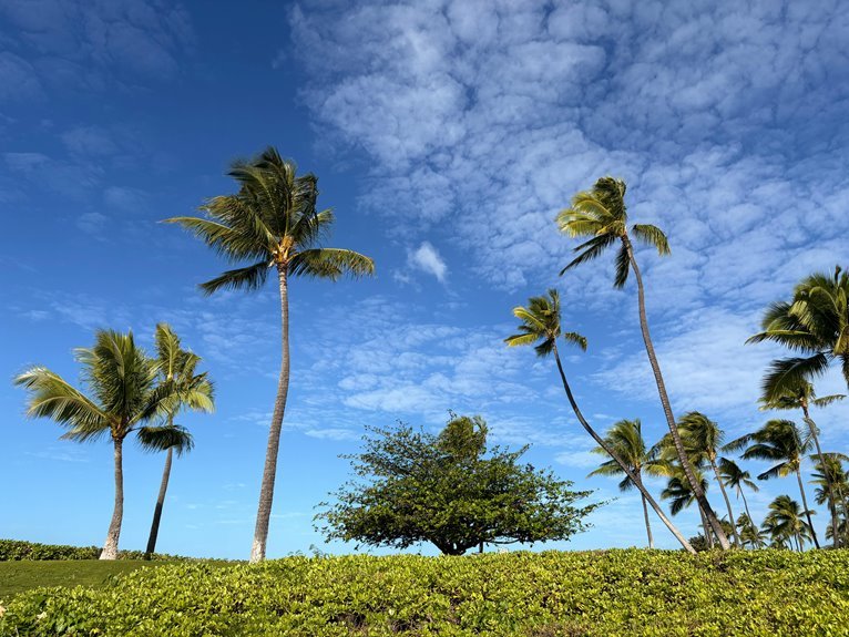 climate updates and reports